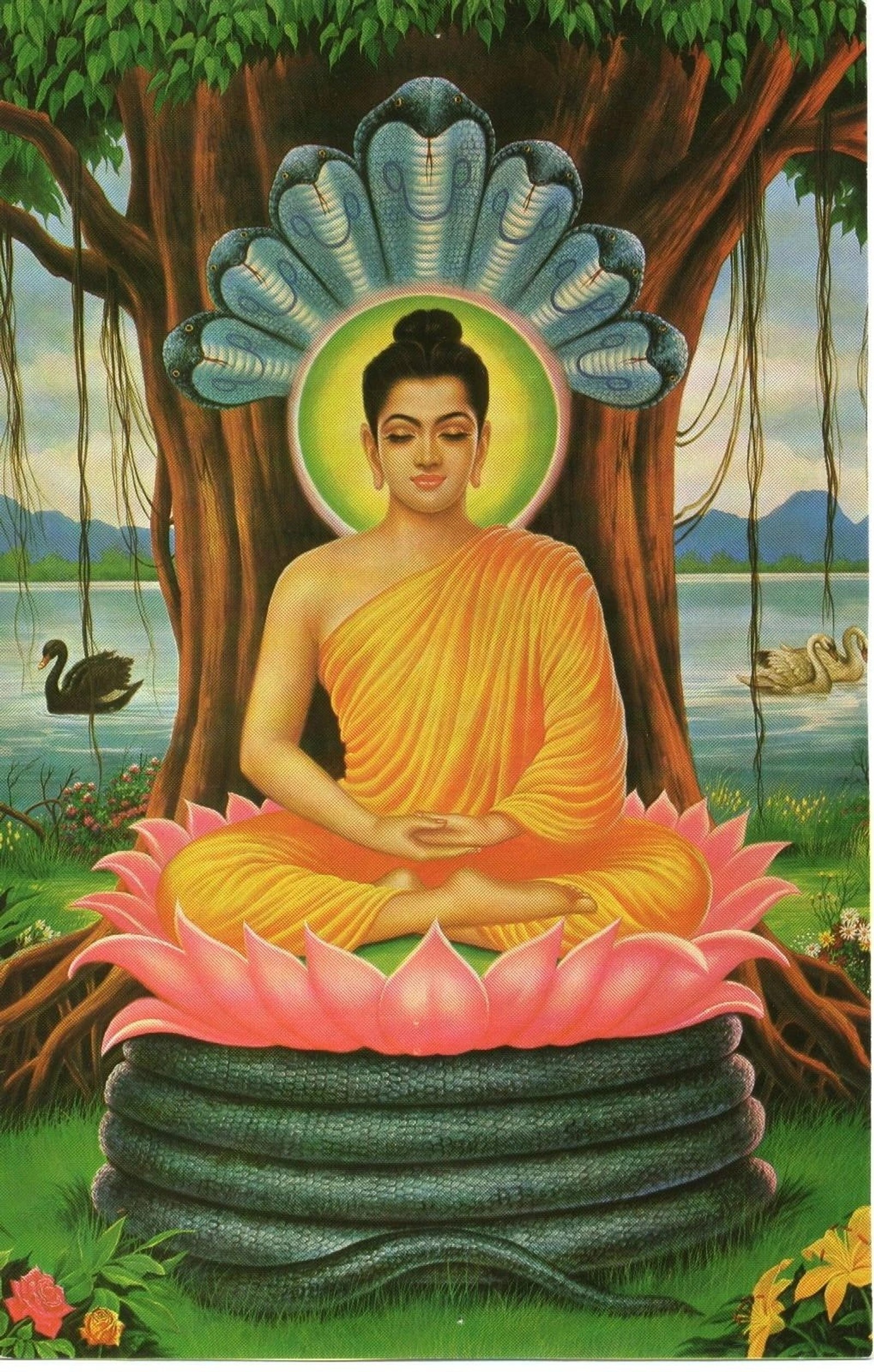 Meditation instructions